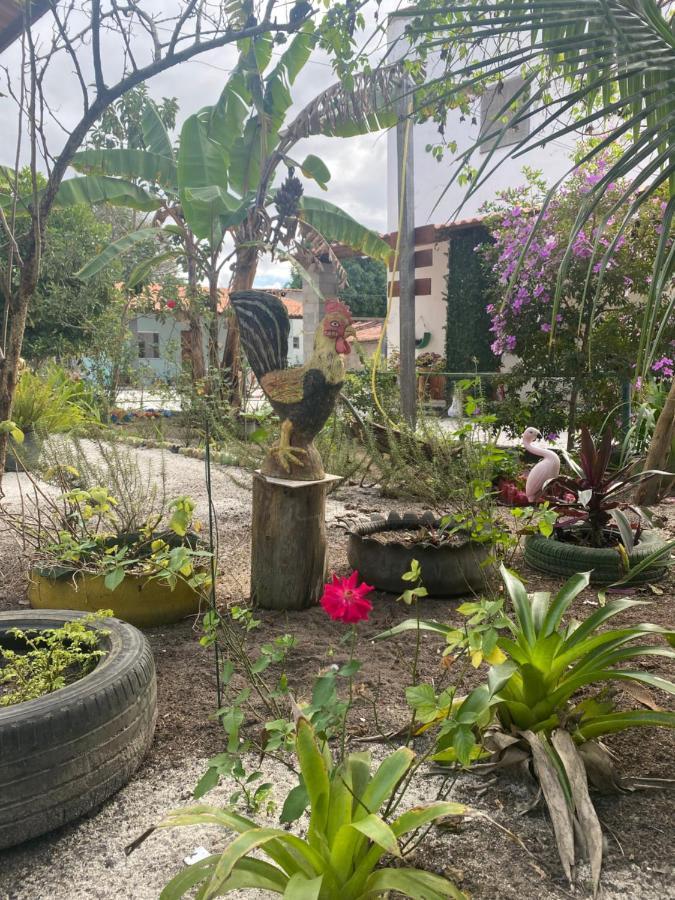 Pousada Recanto Do Galo Santa Cruz Cabrália Dış mekan fotoğraf